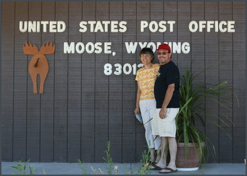 moose
